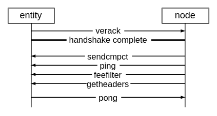 Sequence diagramm of the communication after the version handshake