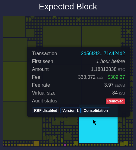 A screenshot of mempool-space block audit of this block shows the sanctioned transaction as _removed_.