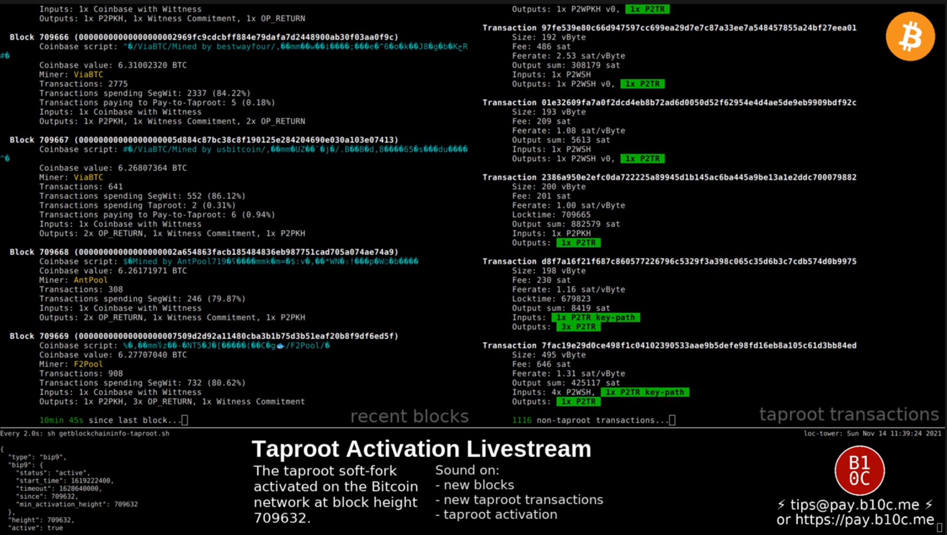 Screenshot of the Taproot Activation Livestream