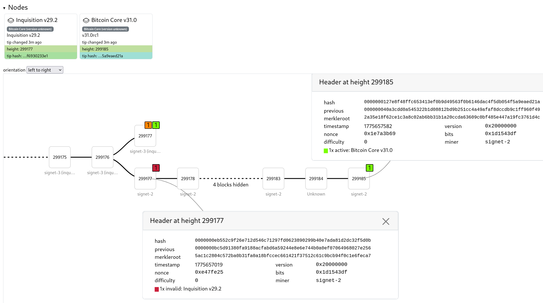 The fork between the Bitcoin Core and Inquisition node durin the first run.